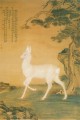Lang ciervo blanco brillante tinta china antigua Giuseppe Castiglione